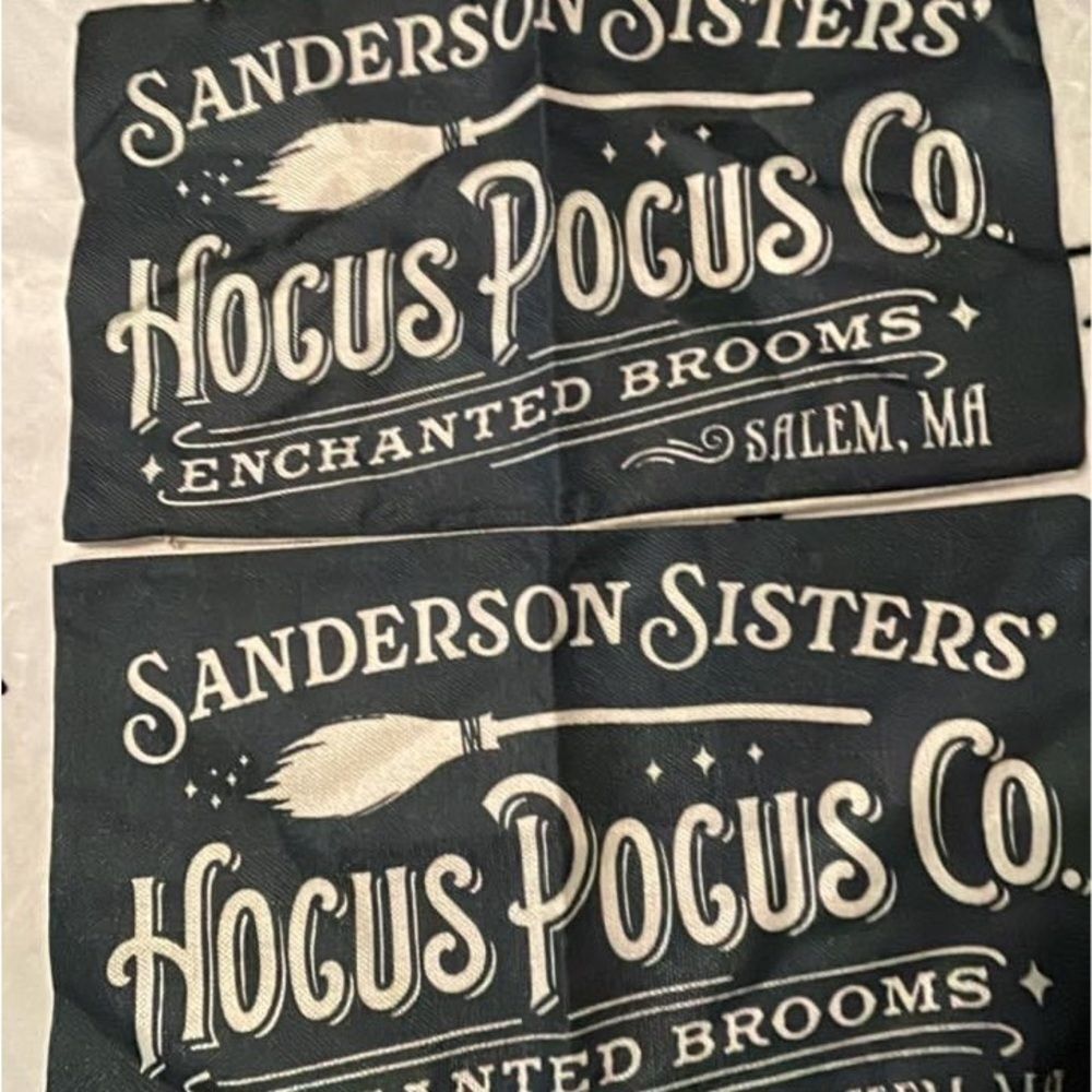 Set of Hocus Pocus pillowcases Halloween Sanderson Sisters small pillowcases